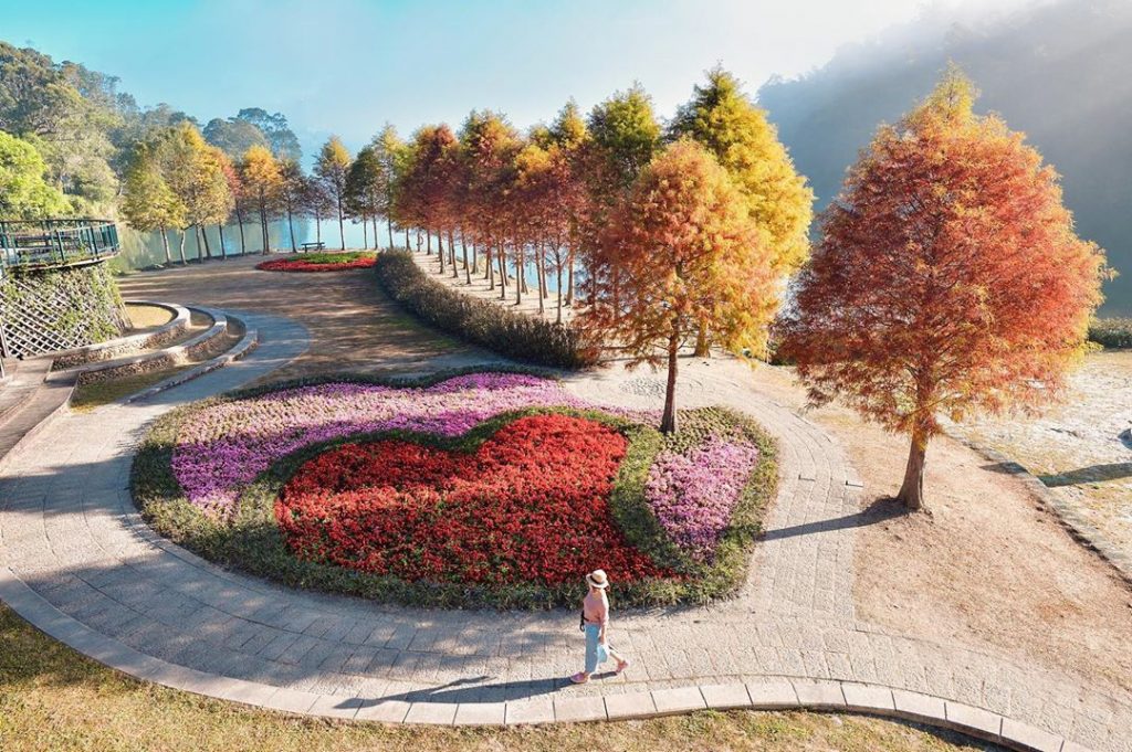 全台落羽松景點|網羅台灣落羽松秘境/落羽松大道、秋冬賞季期懶人包,快來一場唯美浪漫之旅吧! 全台落羽松景點|網羅台灣落羽松秘境/落羽松大道、秋冬賞季期懶人包,快來一場唯美浪漫之旅吧!