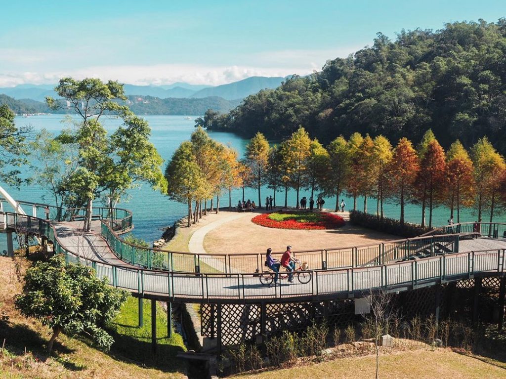 全台落羽松景點|網羅台灣落羽松秘境/落羽松大道、秋冬賞季期懶人包,快來一場唯美浪漫之旅吧! 全台落羽松景點|網羅台灣落羽松秘境/落羽松大道、秋冬賞季期懶人包,快來一場唯美浪漫之旅吧!