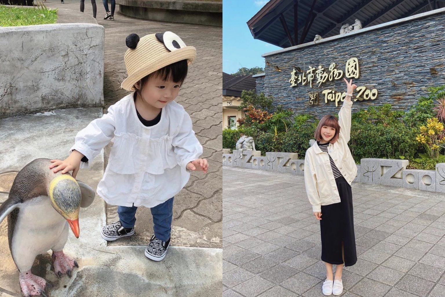 台北木柵動物園 | 台北動物園地圖接駁列車、必看企鵝無尾熊熊貓水豚完整遊園攻略一次看