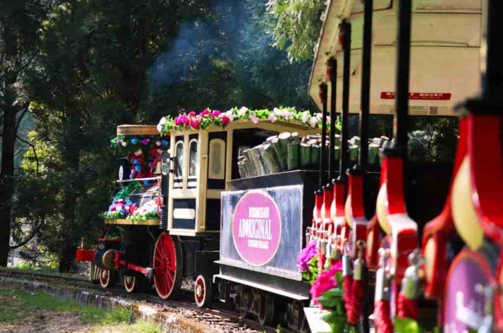 【九族門票】九族門票優惠怎麼買最划算？日月潭＋九族纜車經典玩法推薦