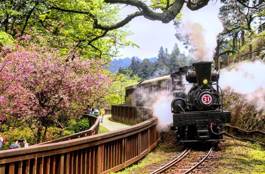 必看阿里山五奇奇景：日出、雲海、晚霞、森林、鐵道