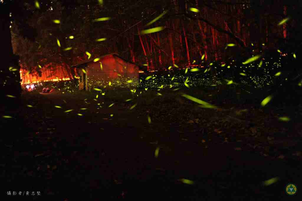 奮起湖美食|推薦6個阿里山奮起湖老街美食,來奮起湖就吃這些! 奮起湖美食|推薦6個阿里山奮起湖老街美食,來奮起湖就吃這些!