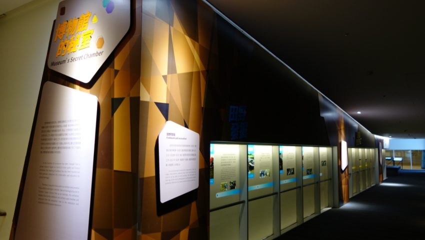台南南科考古館｜用藝術呈現新科技與古文明，蔦松家、黃色天井、玻璃時光廊道超好拍