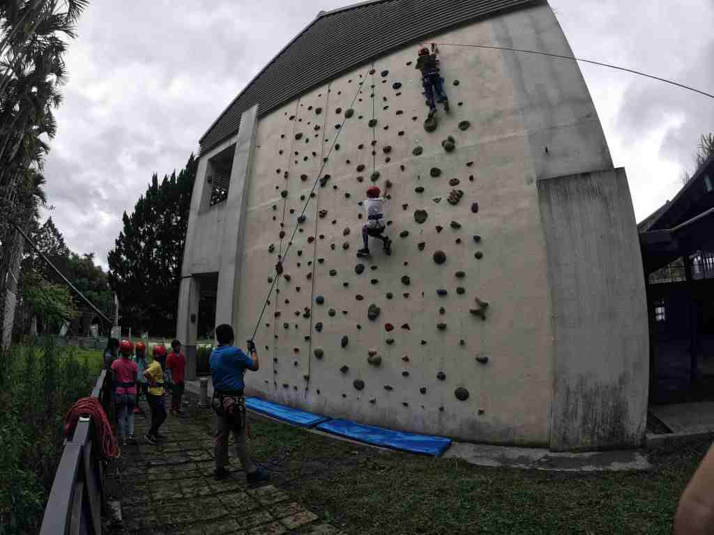 阿里山伴手禮推薦｜必買15樣阿里山名產清單