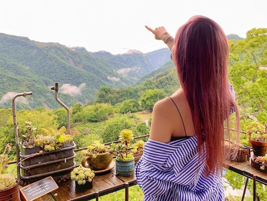 阿里山美食推薦︱嚴選6間必訪阿里山特色餐廳,喜愛品嚐美食的你,絕對不可錯過! 阿里山美食推薦︱嚴選6間必訪阿里山特色餐廳,喜愛品嚐美食的你,絕對不可錯過!