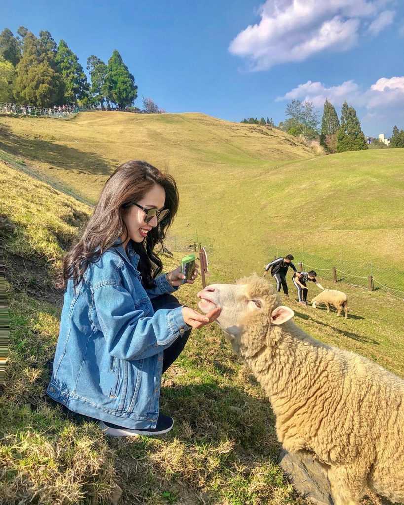 【全台休閒農場推薦】精選35座特色農場，親子農場好去處，近距離餵動物體驗