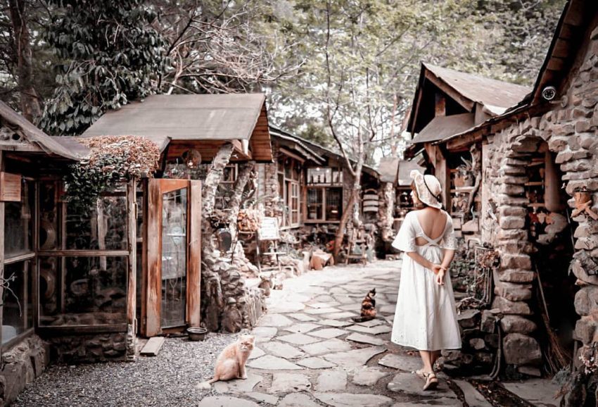 阿里山美食推薦︱嚴選6間必訪阿里山特色餐廳,喜愛品嚐美食的你,絕對不可錯過! 阿里山美食推薦︱嚴選6間必訪阿里山特色餐廳,喜愛品嚐美食的你,絕對不可錯過!