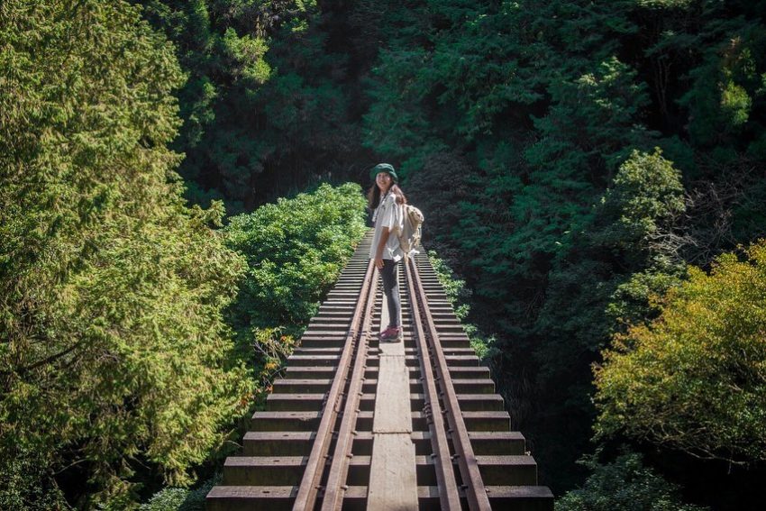 【眠月線】阿里山眠月線路線懶人包，如何申請、交通、難度一次了解