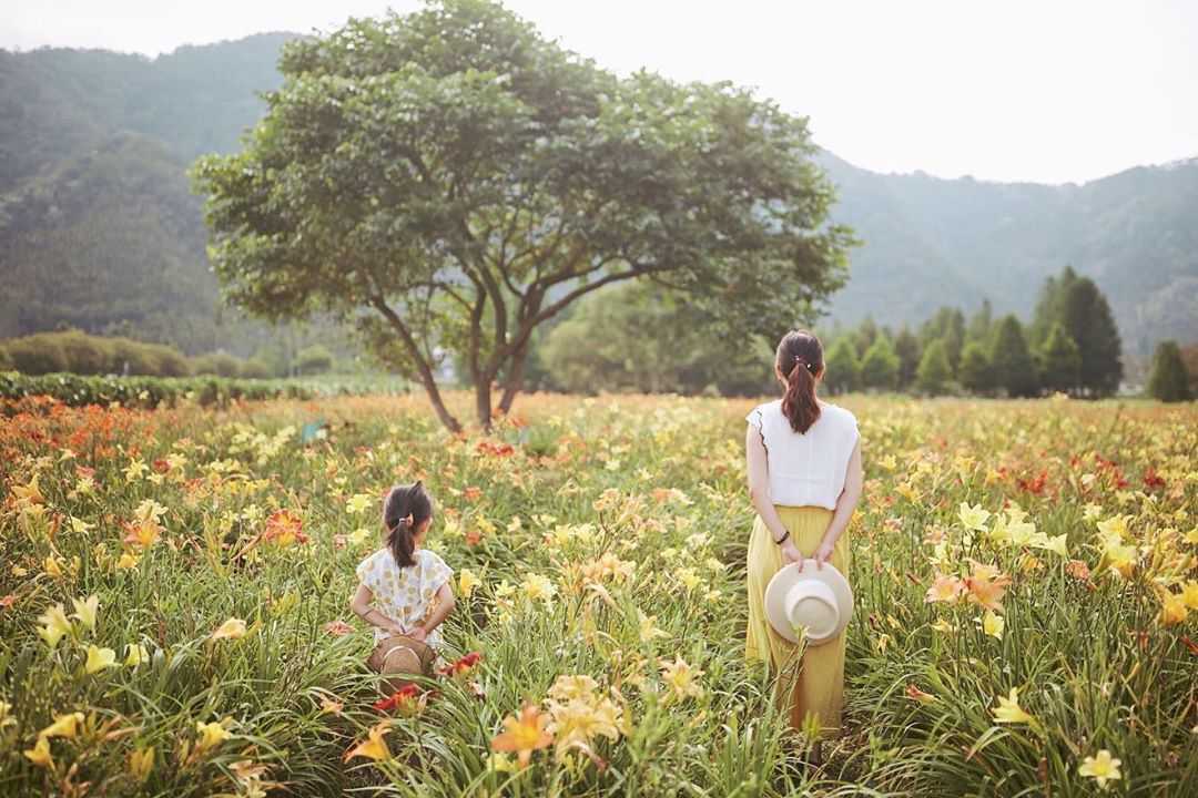 日月潭金針花海, 頭社金針花海