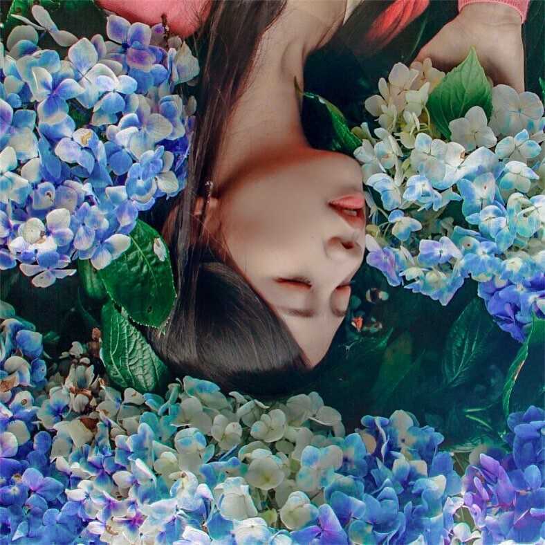 杉林溪繡球花季 【2026杉林溪繡球花季】全台最美繡球花花季時間/交通方式，杉林溪繡球花一日遊攻略。 2 2026