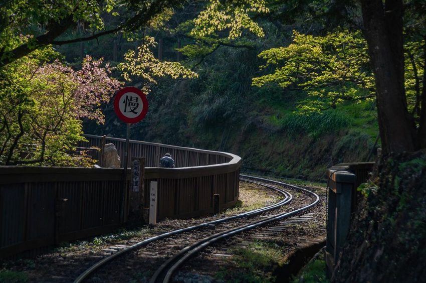 【眠月線】阿里山眠月線路線懶人包，如何申請、交通、難度一次了解