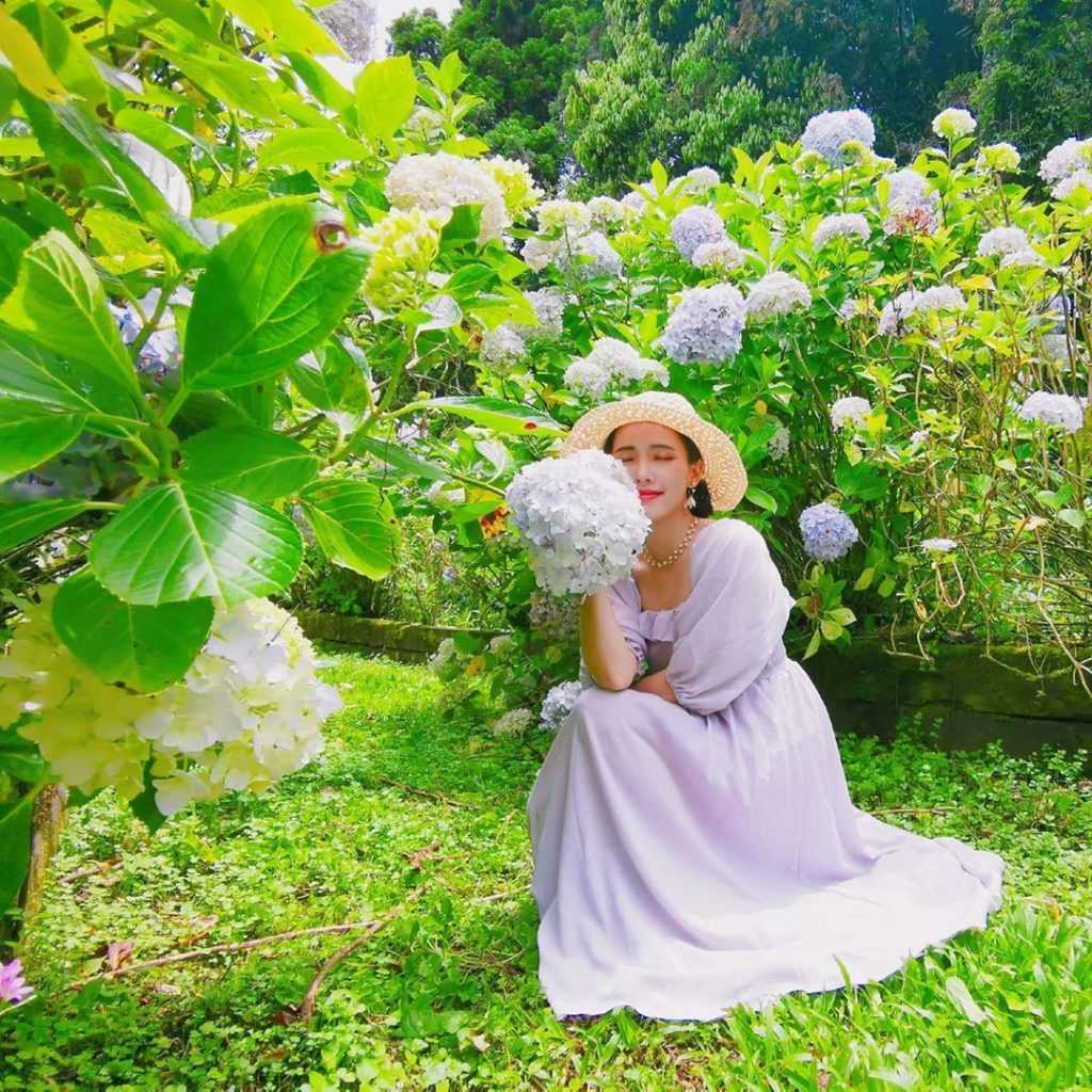 杉林溪繡球花季 【2026杉林溪繡球花季】全台最美繡球花花季時間/交通方式，杉林溪繡球花一日遊攻略。 1 2026
