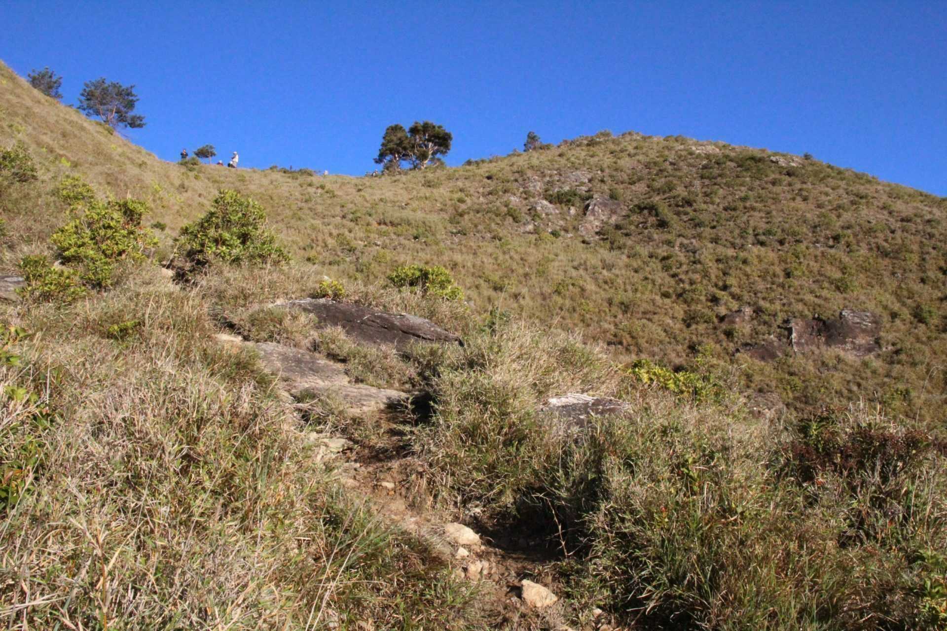 南投信義鄉 南投信義鄉｜丹大林道七彩湖探勘之旅｜布農族人聖地 3 2026