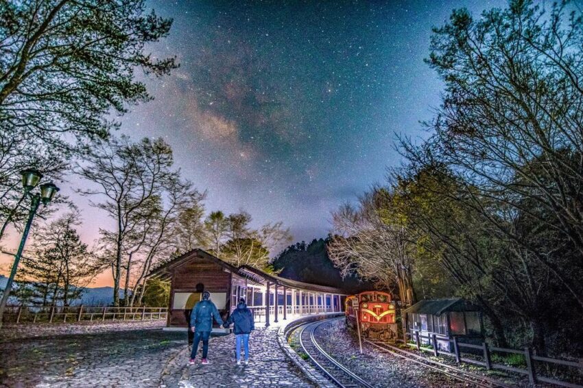 搭阿里山小火車一日遊怎麼玩？阿里山火車訂票教學、車票價格、10大必訪景點路線一次看！