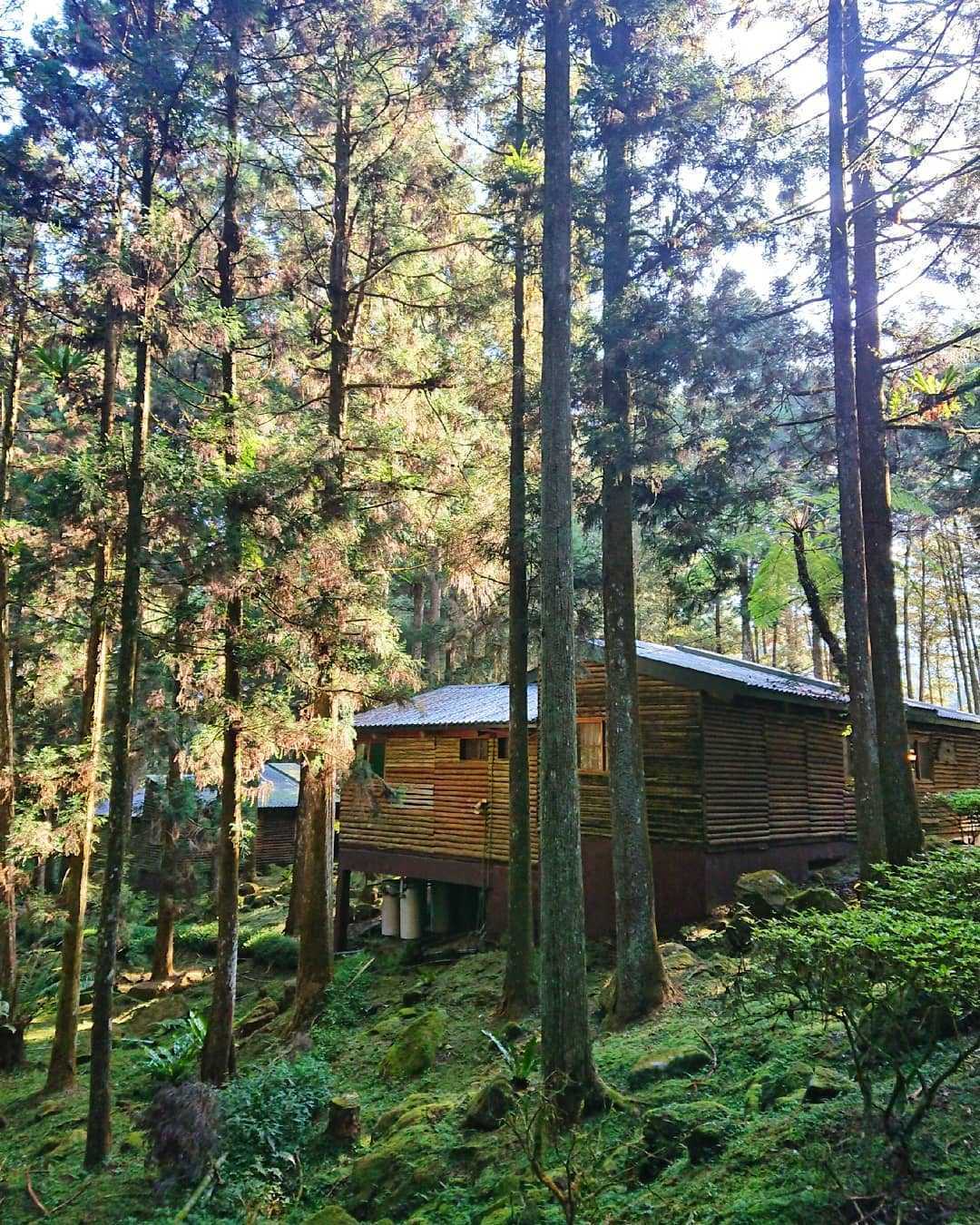 溪頭青年活動中心 溪頭青年活動中心 ｜盡情呼吸芬多精，住在溪頭森林裡 3 2026