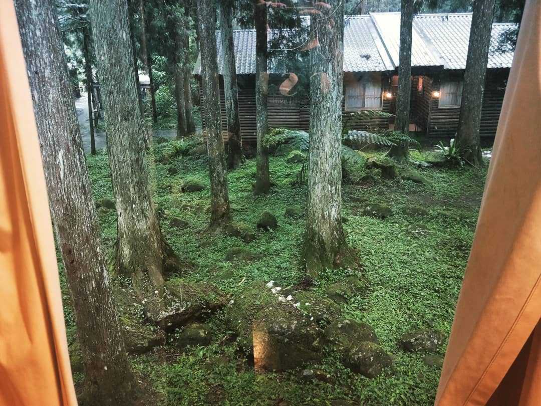 溪頭青年活動中心 溪頭青年活動中心 ｜盡情呼吸芬多精，住在溪頭森林裡 2 2026