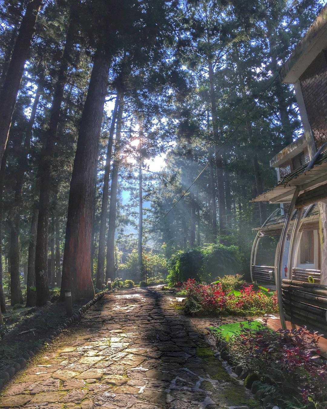 溪頭青年活動中心