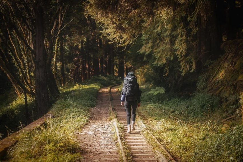 【眠月線】阿里山眠月線路線懶人包，如何申請、交通、難度一次了解