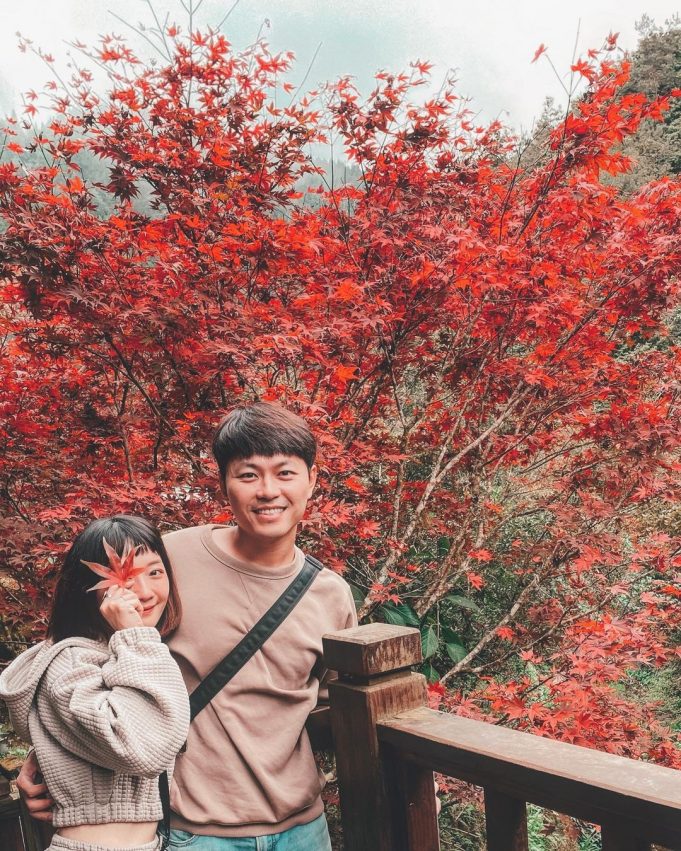 杉林溪一日遊必拍景點、門票優惠、賞螢花季、交通攻略|杉林溪森林生態渡假園區 杉林溪楓葉, 杉林溪楓紅