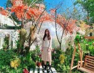 埔里多肉秘境 ｜最新仙人掌、多肉植物秘境、療癒多肉盆栽DIY，免門票打卡景點！