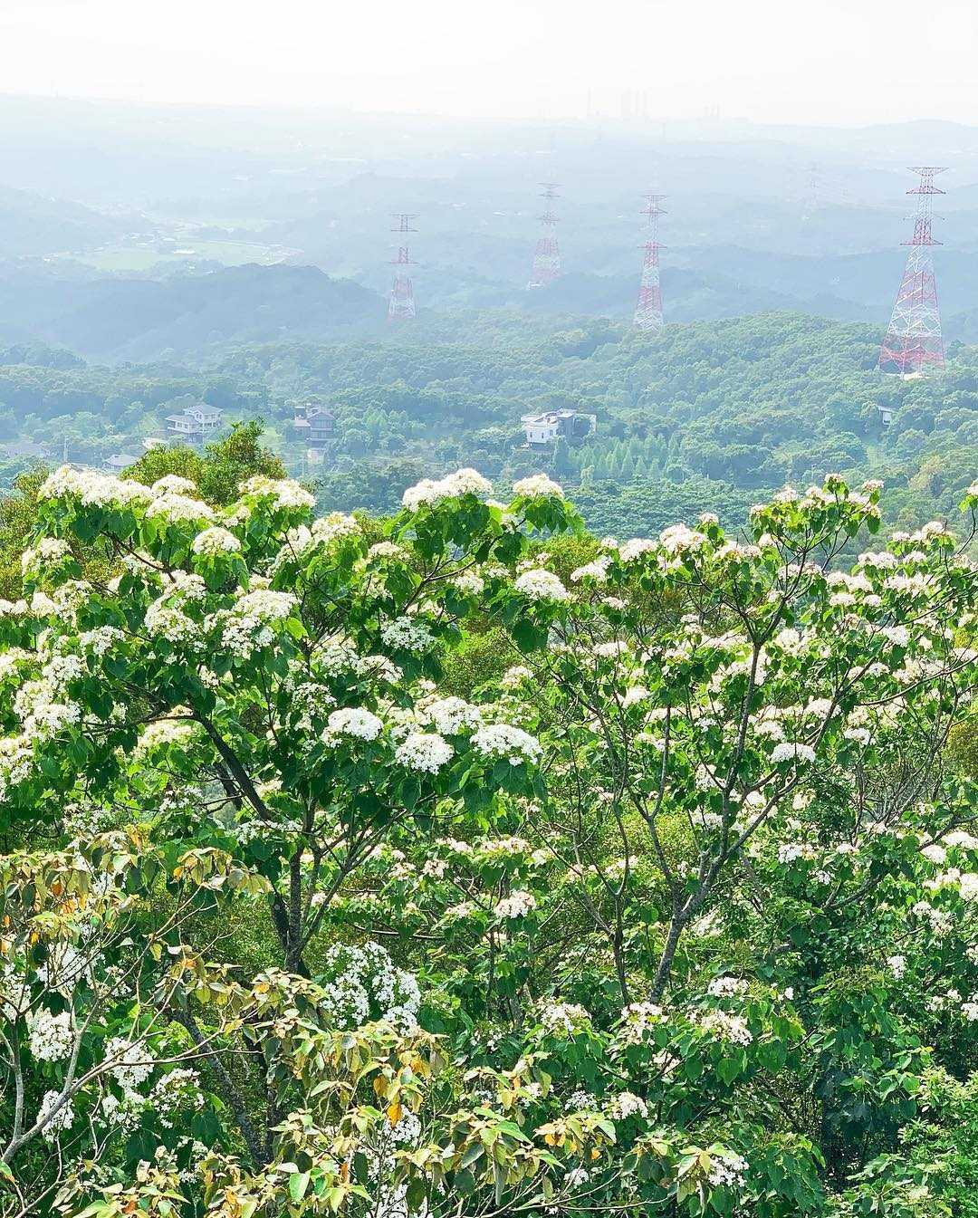 【苗栗景點推薦】精選70個苗栗親子/約會/免費景點，多條苗栗一日遊路線推薦