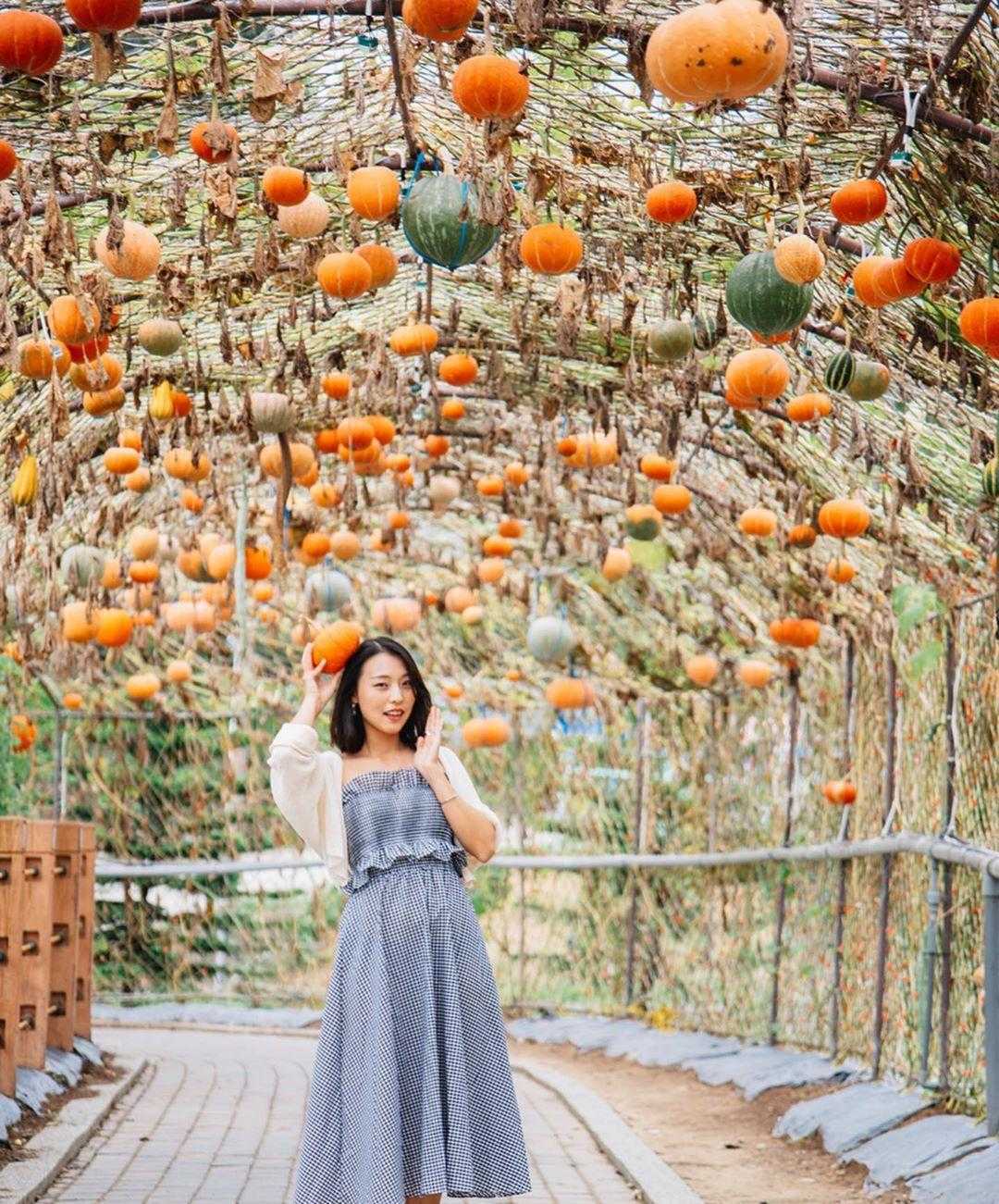 造橋南瓜節 造橋南瓜節