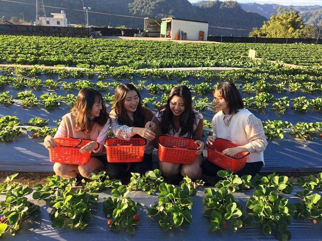 苗栗農事體驗 苗栗農事體驗