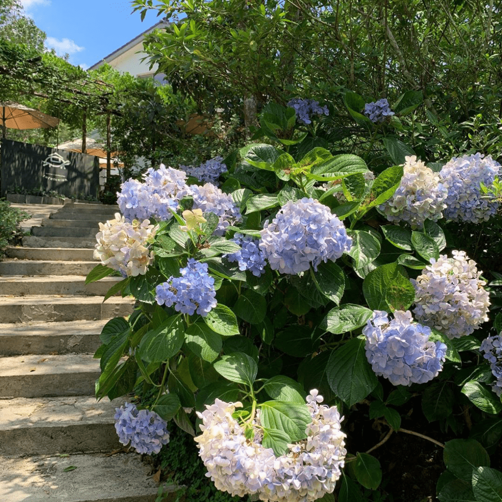 【苗栗南庄民宿推薦】熱搜9家南庄賞螢/親子/包棟住宿推薦，南庄二日遊就看這篇！