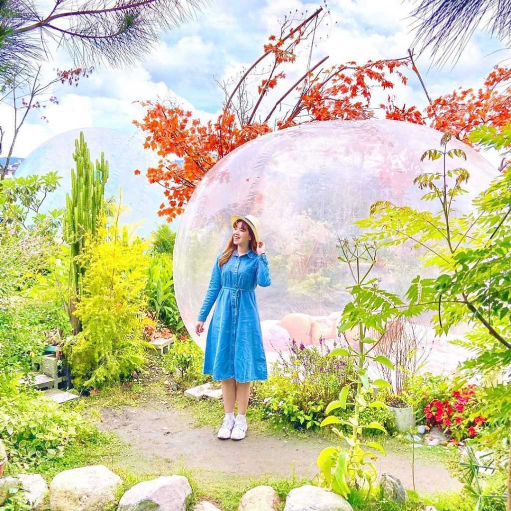 埔里多肉秘境 -透明泡泡屋