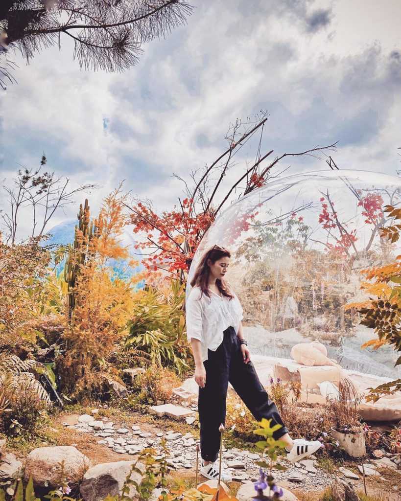 埔里多肉秘境 -透明泡泡屋