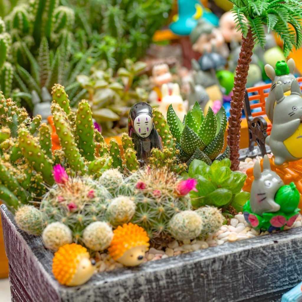 多肉秘境 埔里多肉秘境 ｜最新仙人掌、多肉植物秘境、療癒多肉盆栽DIY，免門票打卡景點！ 3 2026