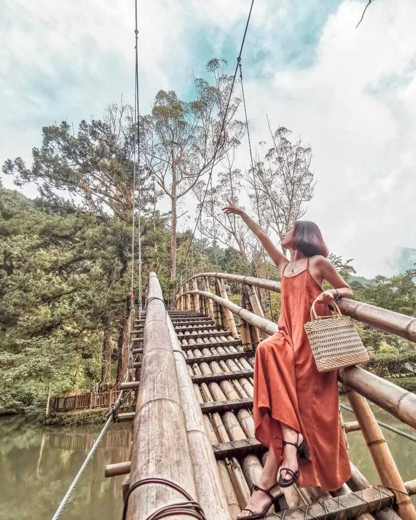 溪頭杉林溪景點：溪頭自然教育園區大學池