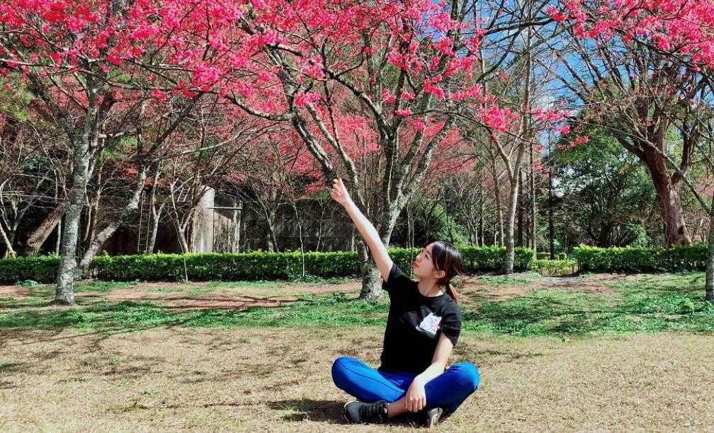 奧萬大櫻花季 賞櫻 櫻花 花季 花況 開花 ,奧萬大,奧萬大門票, 奧萬大國家森林遊樂區, 奧萬大一日遊, 奧萬大兩天一夜, 奧萬大楓紅餐廳菜單, 奧萬大楓紅餐廳, 清境到奧萬大, 清境奧萬大, 奧萬大到清境, 日月潭到奧萬大, 奧萬大接駁小車, klook奧萬大, kkday奧萬大, 楓葉奧萬大, 清境農場到奧萬大, 奧萬大到武界, 奧萬大到日月潭, 賞楓奧萬大, 清境農場奧萬大, 奧萬大買一送一, 奧萬大玩水, 2023奧萬大, 11月奧萬大, 日月潭奧萬大, 到奧萬大, 奧萬大一日, 奧萬大的楓葉, 12月奧萬大, 奧萬大到清境農場, 10月奧萬大, 奧灣大, 奧萬大一月, 奧萬大的門票, 奧萬大之旅, 2月奧萬大, 9月奧萬大, 4月奧萬大, 奧萬大兩天一夜行程, 福壽山奧萬大, 四月奧萬大, 去奧萬大, 奧萬大到清境交通, 奧萬大森遊區,