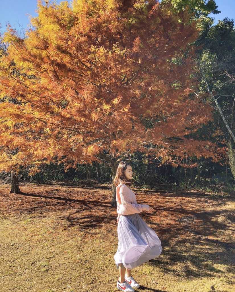 奧萬大楓樹 楓葉 賞楓 變紅 秋楓 楓林,奧萬大,奧萬大門票, 奧萬大國家森林遊樂區, 奧萬大一日遊, 奧萬大兩天一夜, 奧萬大楓紅餐廳菜單, 奧萬大楓紅餐廳, 清境到奧萬大, 清境奧萬大, 奧萬大到清境, 日月潭到奧萬大, 奧萬大接駁小車, klook奧萬大, kkday奧萬大, 楓葉奧萬大, 清境農場到奧萬大, 奧萬大到武界, 奧萬大到日月潭, 賞楓奧萬大, 清境農場奧萬大, 奧萬大買一送一, 奧萬大玩水, 2023奧萬大, 11月奧萬大, 日月潭奧萬大, 到奧萬大, 奧萬大一日, 奧萬大的楓葉, 12月奧萬大, 奧萬大到清境農場, 10月奧萬大, 奧灣大, 奧萬大一月, 奧萬大的門票, 奧萬大之旅, 2月奧萬大, 9月奧萬大, 4月奧萬大, 奧萬大兩天一夜行程, 福壽山奧萬大, 四月奧萬大, 去奧萬大, 奧萬大到清境交通, 奧萬大森遊區,