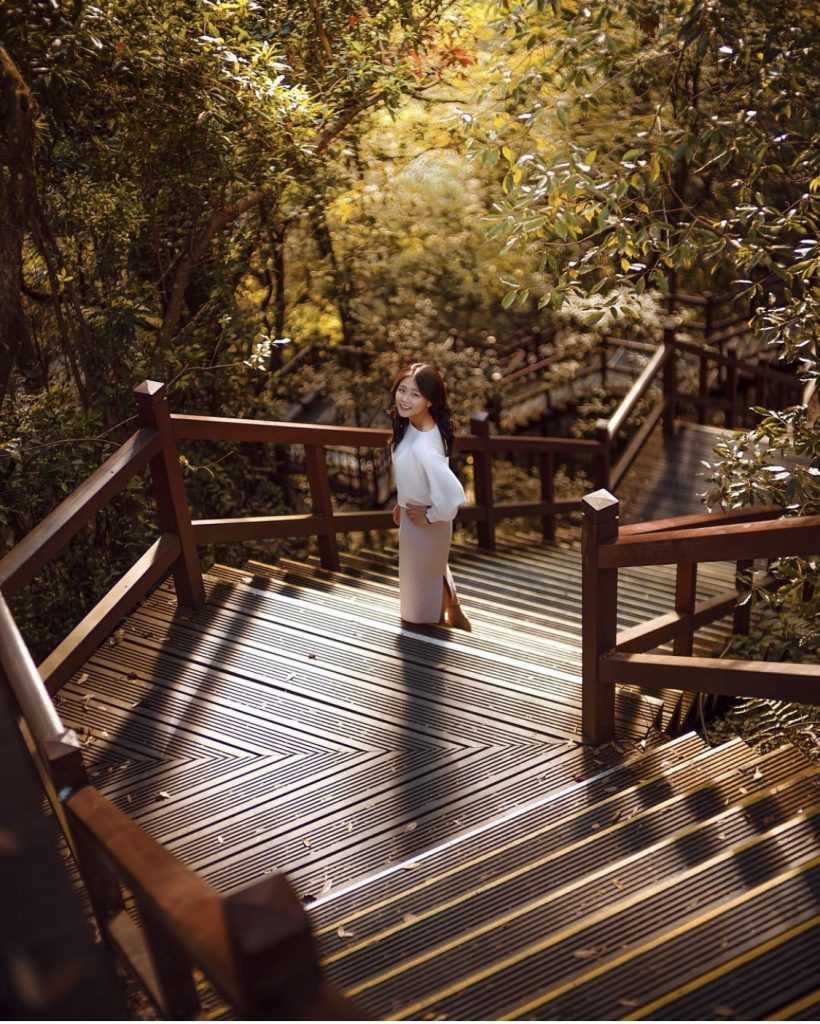 奧萬大楓樹 楓葉 賞楓 變紅了嗎 秋楓 ,奧萬大,奧萬大門票, 奧萬大國家森林遊樂區, 奧萬大一日遊, 奧萬大兩天一夜, 奧萬大楓紅餐廳菜單, 奧萬大楓紅餐廳, 清境到奧萬大, 清境奧萬大, 奧萬大到清境, 日月潭到奧萬大, 奧萬大接駁小車, klook奧萬大, kkday奧萬大, 楓葉奧萬大, 清境農場到奧萬大, 奧萬大到武界, 奧萬大到日月潭, 賞楓奧萬大, 清境農場奧萬大, 奧萬大買一送一, 奧萬大玩水, 2023奧萬大, 11月奧萬大, 日月潭奧萬大, 到奧萬大, 奧萬大一日, 奧萬大的楓葉, 12月奧萬大, 奧萬大到清境農場, 10月奧萬大, 奧灣大, 奧萬大一月, 奧萬大的門票, 奧萬大之旅, 2月奧萬大, 9月奧萬大, 4月奧萬大, 奧萬大兩天一夜行程, 福壽山奧萬大, 四月奧萬大, 去奧萬大, 奧萬大到清境交通, 奧萬大森遊區, 