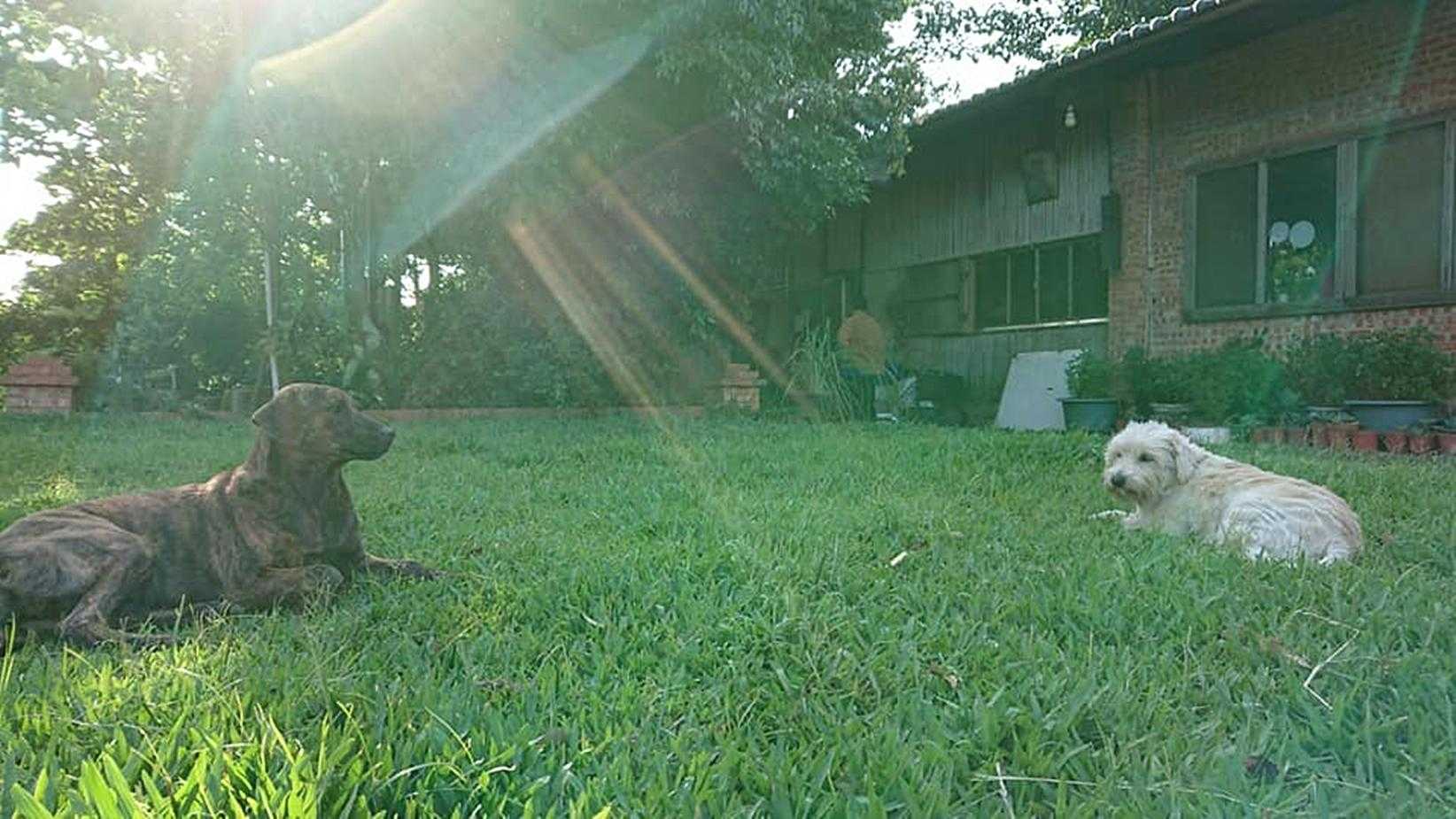 苗栗約會景點 | 特蒐苗栗享受兩人浪漫景點，五大情侶約會聖地