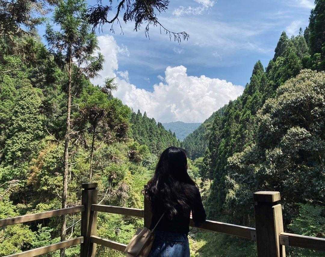 杉林溪一日遊必拍景點、門票優惠、賞螢花季、交通攻略|杉林溪森林生態渡假園區 杉林溪森林生態渡假園區, 杉林溪, 杉林溪怎麼玩, 杉林溪一日遊