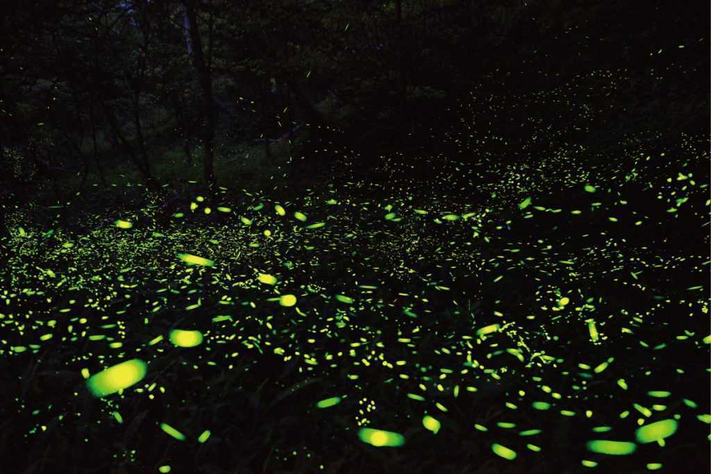 藍月亮來啦！2023中秋賞月哪裡去? 萬聖節雙滿月最佳觀賞地點、時間出爐 3 2026