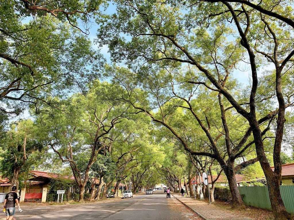 中興新村一日遊｜懷舊省府巡禮，5大打卡景點＆必吃美食推薦