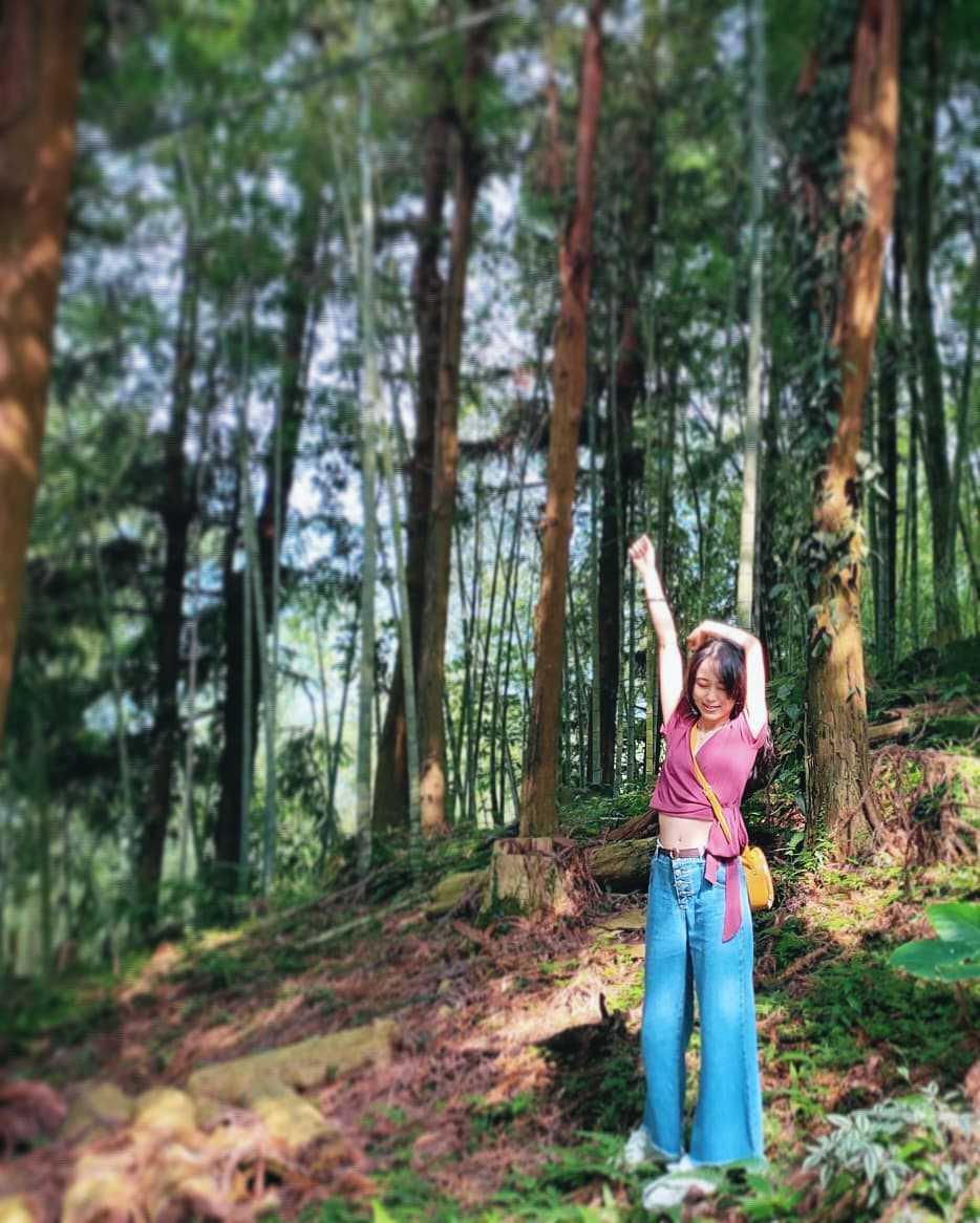 鳳凰谷鳥園生態園區 鳳凰谷鳥園生態園區｜南投鹿谷鳥園，門票優惠，親子賞鳥互動、森林溜滑梯、步道一次玩過癮～ 2 2026