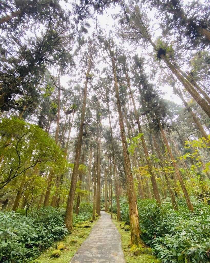 【雙十連假旅遊攻略】10月連假怎麼請？國慶連假想去哪玩？全台超夯旅遊行程一次幫你敲定