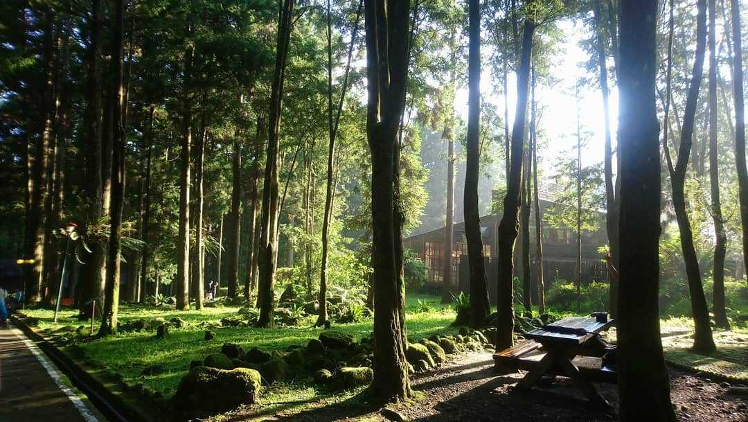 溪頭青年活動中心 溪頭青年活動中心 ｜盡情呼吸芬多精，住在溪頭森林裡 4 2026