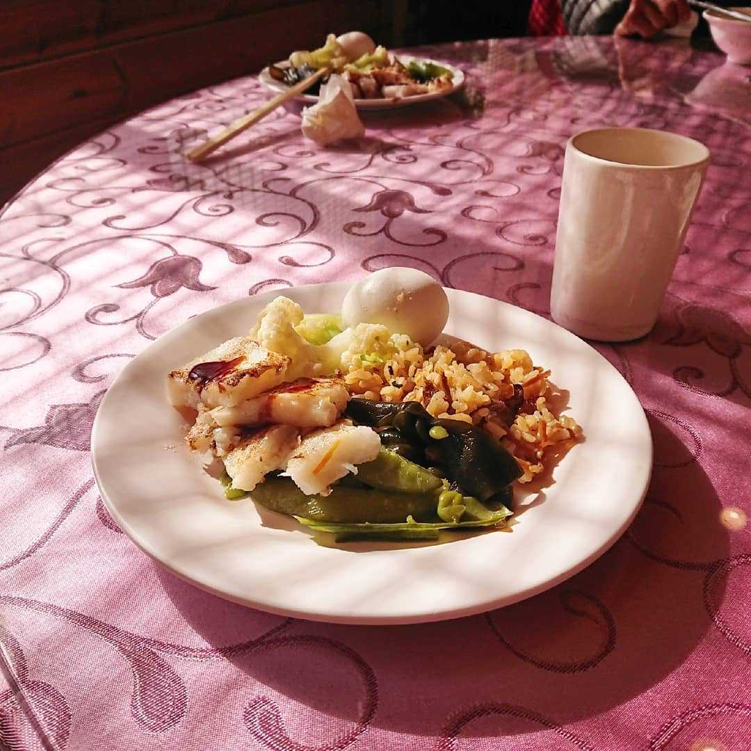 溪頭青年活動中心 溪頭青年活動中心 ｜盡情呼吸芬多精，住在溪頭森林裡 8 2026