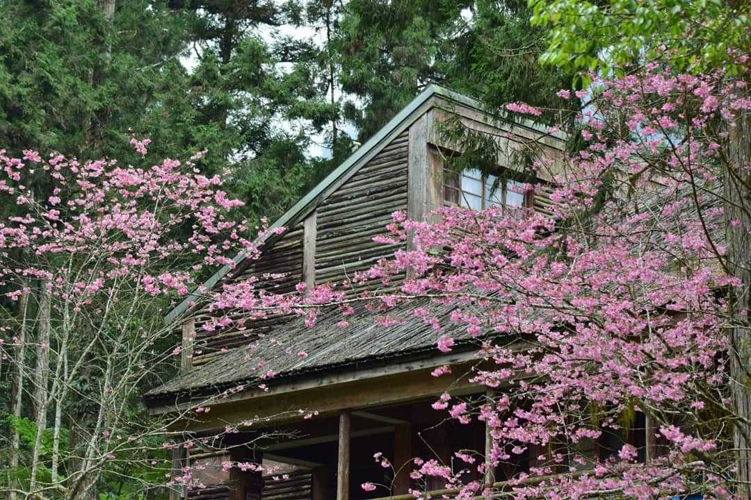 溪頭青年活動中心