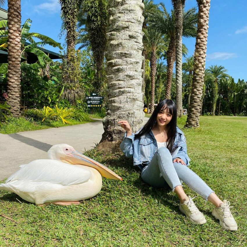 【北埔綠世界生態農場】最新門票優惠/園區攻略/動物互動時間攻略,綠世界超完整懶人包 【北埔綠世界生態農場】最新門票優惠/園區攻略/動物互動時間攻略,綠世界超完整懶人包