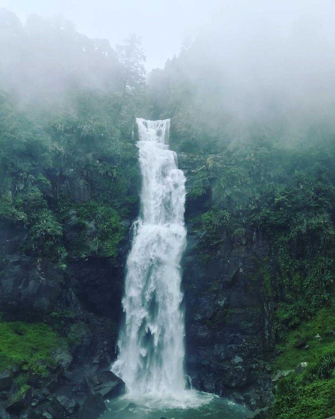 杉林溪一日遊必拍景點、門票優惠、賞螢花季、交通攻略|杉林溪森林生態渡假園區 杉林溪森林生態渡假園區, 青龍瀑布, 杉林溪瀑布
