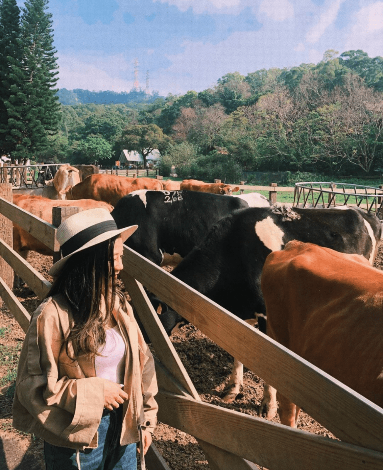 苗栗約會景點 | 特蒐苗栗享受兩人浪漫景點，五大情侶約會聖地