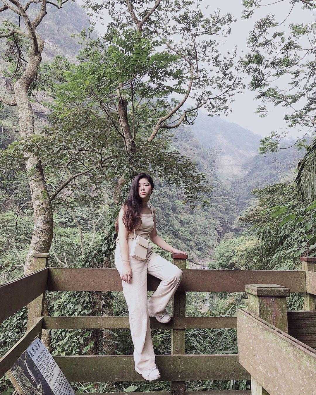 鳳凰谷鳥園生態園區 鳳凰谷鳥園生態園區｜南投鹿谷鳥園，門票優惠，親子賞鳥互動、森林溜滑梯、步道一次玩過癮～ 1 2026