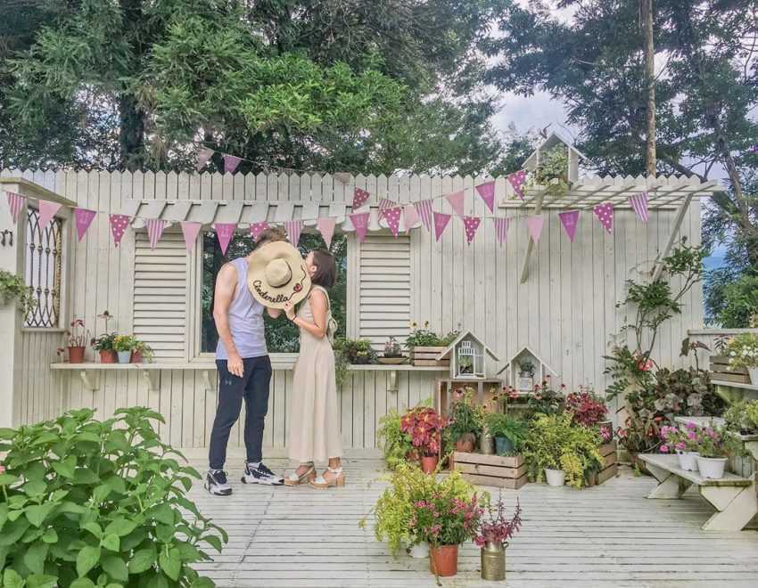 【薰衣草森林】四季都有浪漫花景!最新花況、螢火蟲季、門票、交通懶人包 【薰衣草森林】四季都有浪漫花景!最新花況、螢火蟲季、門票、交通懶人包