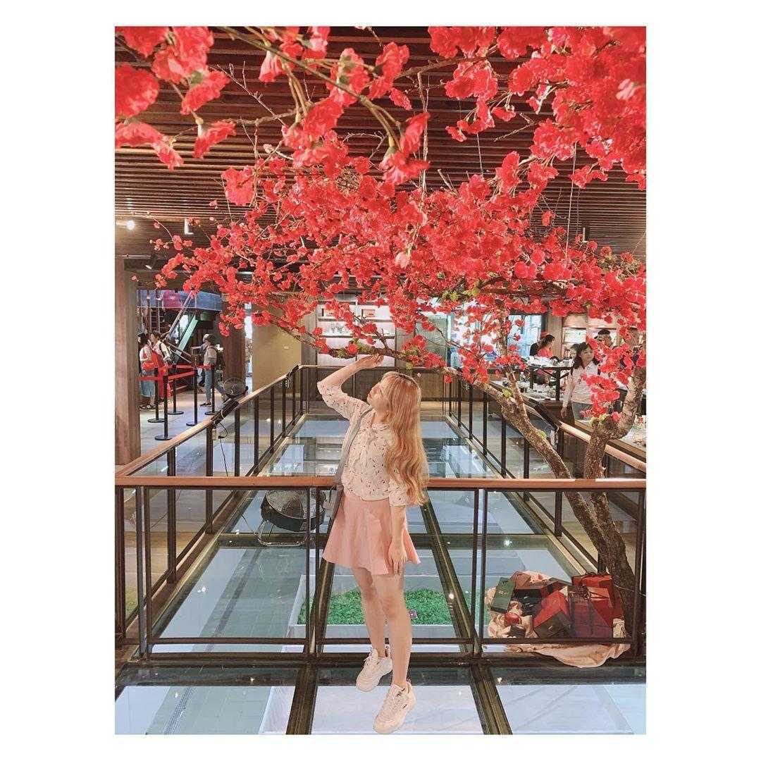 Hohocha喝喝茶 ｜台灣香日月潭紅茶廠